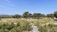 #6: WEST