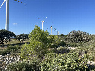 #2: View to the north