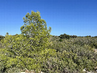 #3: View to the east