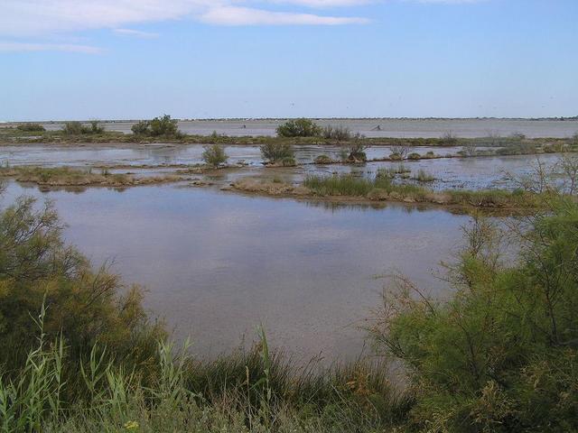 Etang de la Palme saltponds and lagoon