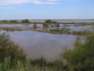 #1: Etang de la Palme saltponds and lagoon