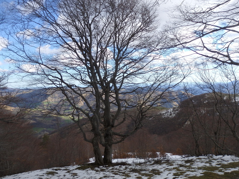 The Confluence from 10 m distance