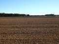 #3: View to the East