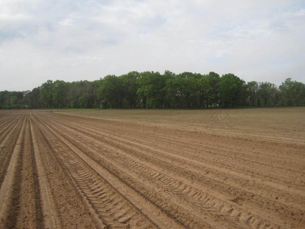 Süden; view south