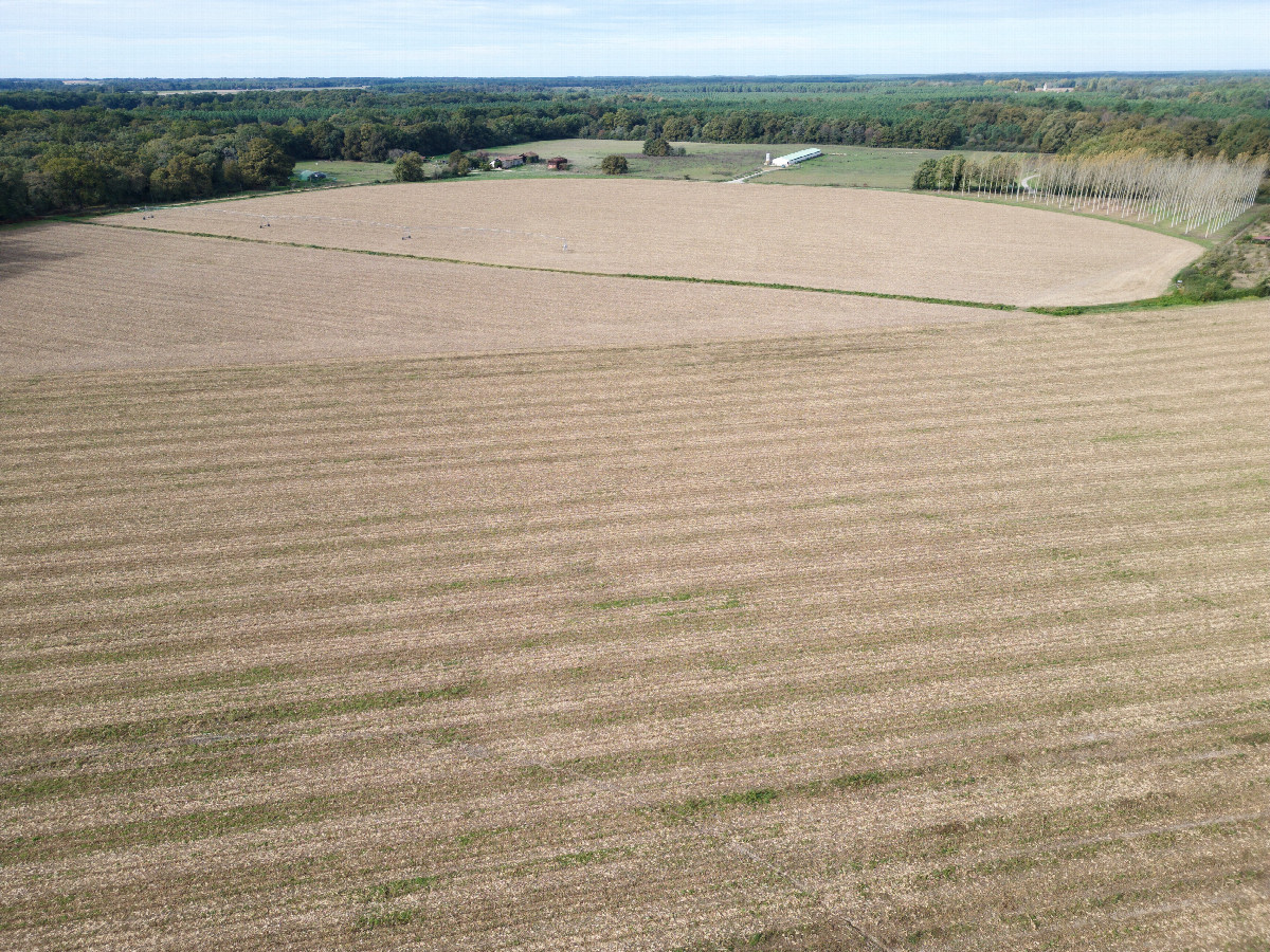 Looking West towards the point (180m away), from a height of 50m