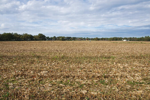 #1: The confluence point lies in a (recently-harvested) corn field.  (This is also a view to the West.)