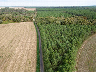 #8: View North (from the road, 180m East of the point) from a height of 50m