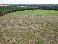 #9: View East (from the road, 180m East of the point) from a height of 50m