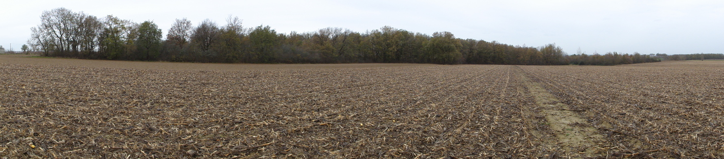 W-N-E Panoramic view shot from the confluence 