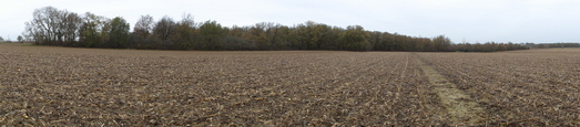 #1: W-N-E Panoramic view shot from the confluence 