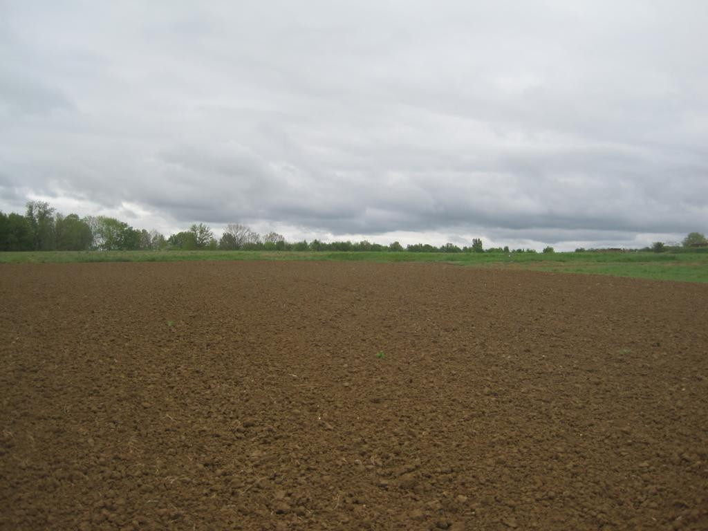 Süden; view south