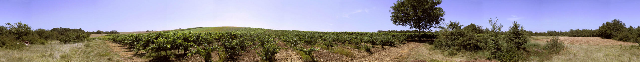 360° panorama from the confluence