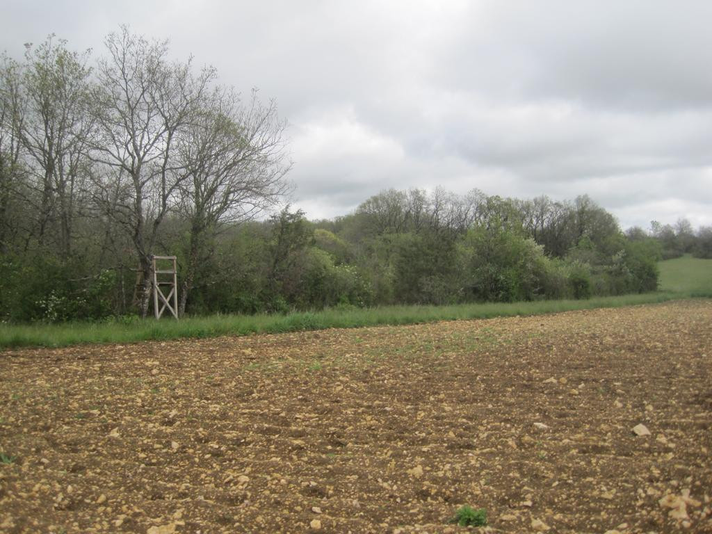 Osten; view east