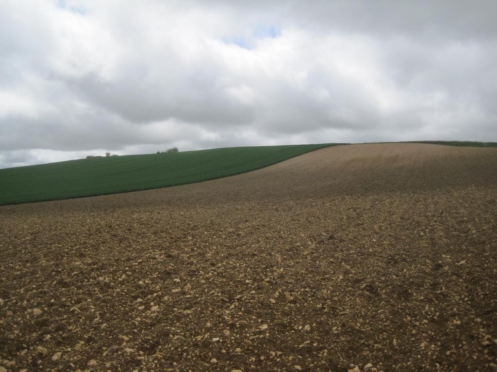 Süden; view south