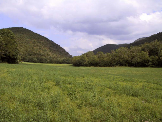 View into the valley