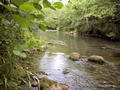 #4: The Cernon stream nearby