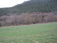 #3: Süden; view south