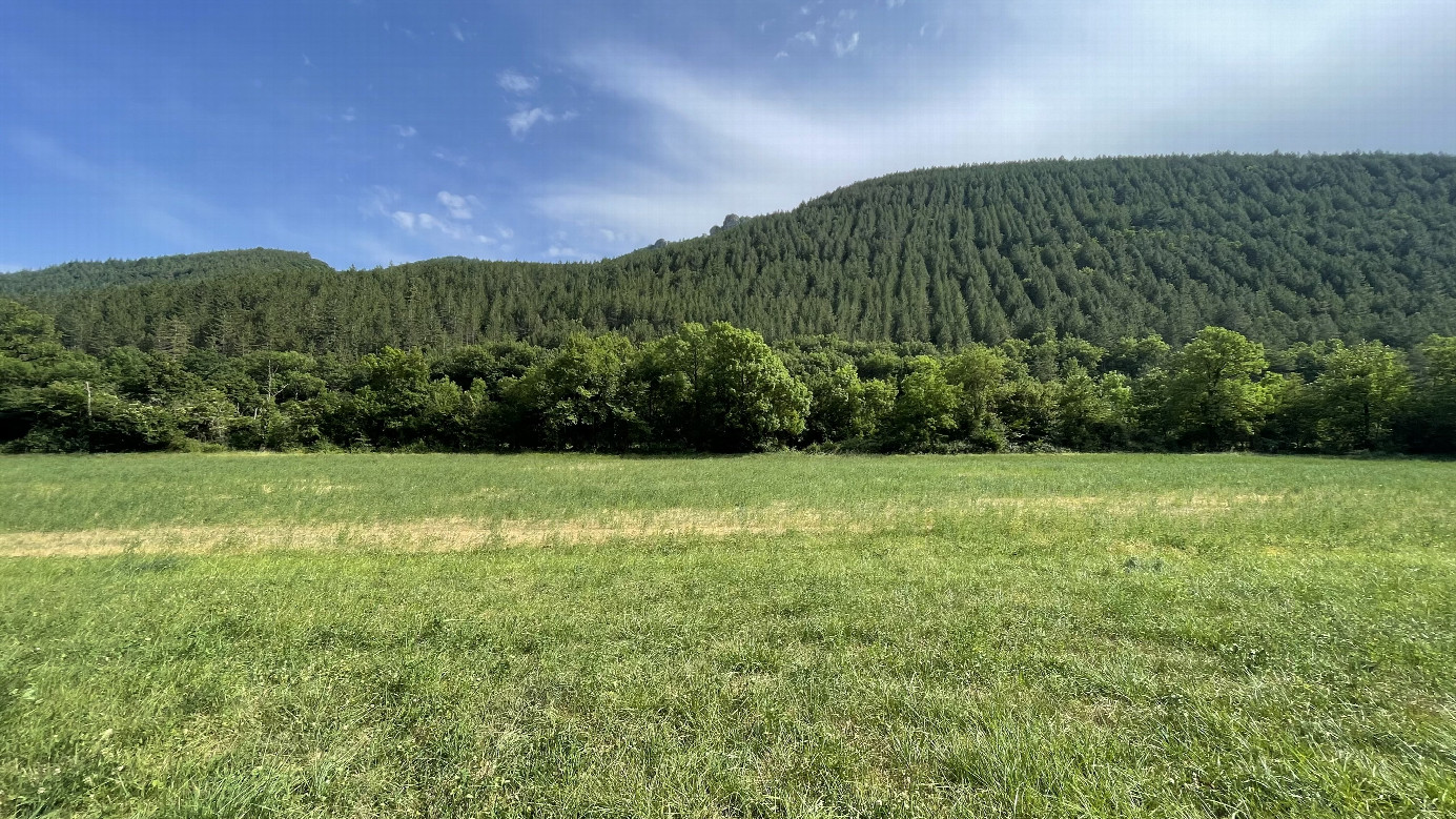 SOUTH