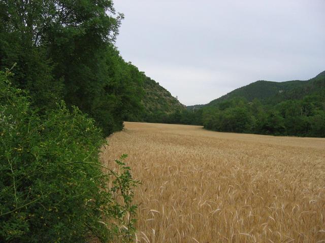 East, looking up the valley