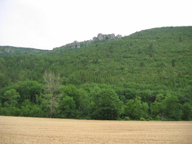 South, yet more wild country, limestone crags above a cool damp north facing forest - beyond the plateau, below the Roquefort Caves.