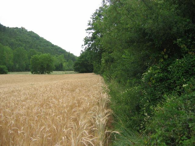 Looking down the Le Cernon valley towards St RomeDe Cernon