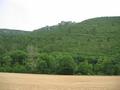 #4: South, yet more wild country, limestone crags above a cool damp north facing forest - beyond the plateau, below the Roquefort Caves.