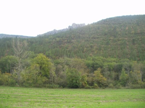 To the South
