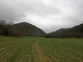 #4: View south / Blick nach Süden