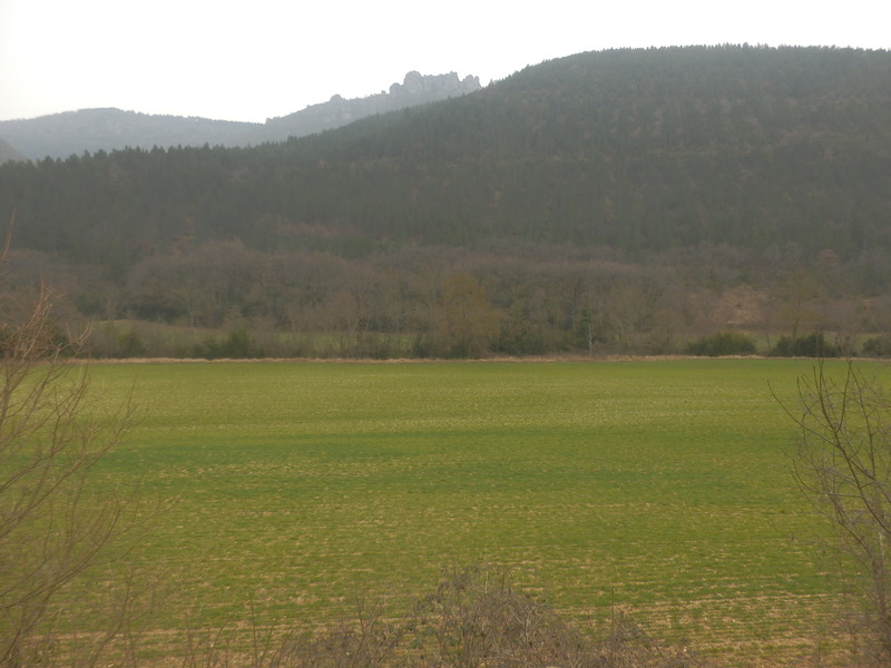 The Confluence from 35 m