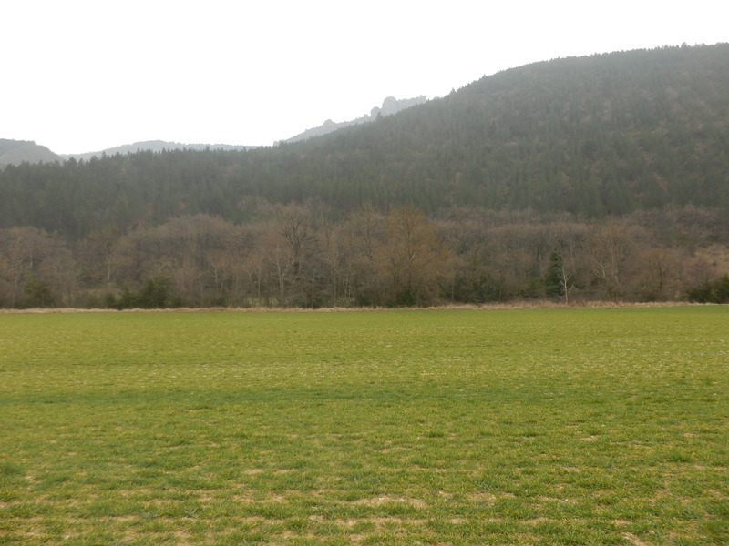 View to the South