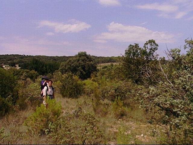 Looking to the south