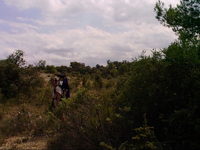 Looking to the north