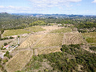 #8: View North, from 100m above the point