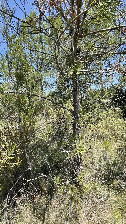 #3: NORTH