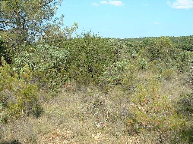 General view of the confluence