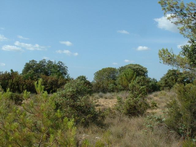 Looking South