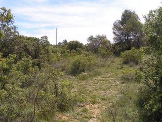 #1: Looking East