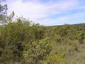 #3: Looking West