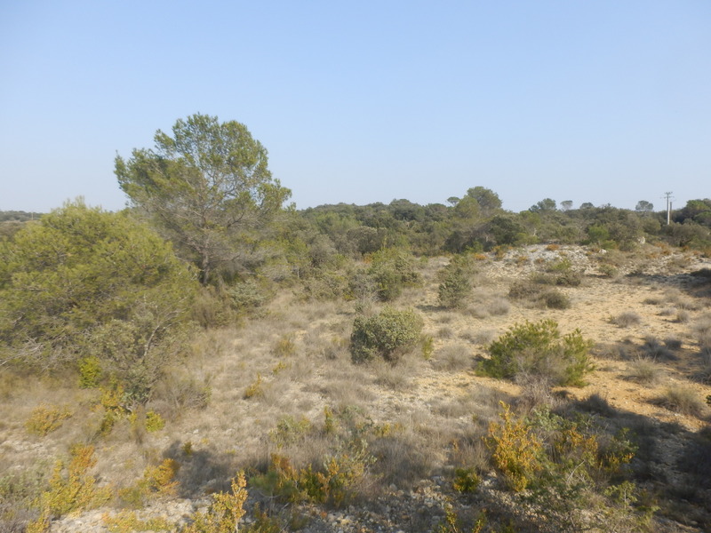 The Confluence from 30 m