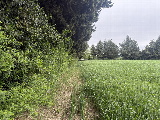 #1: The confluence from 10 m distance