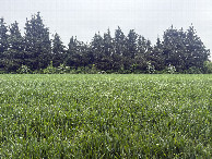 #2: View to the south 
