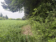#3: View to the West 