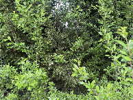 #4: View to the North