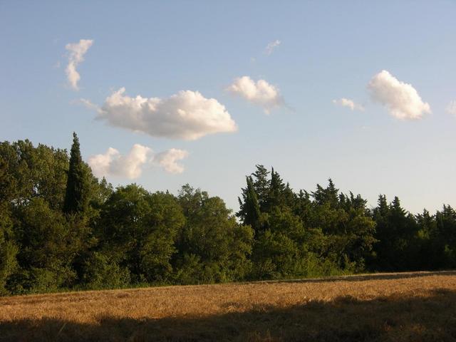 View in western direction / Blick nach Westen