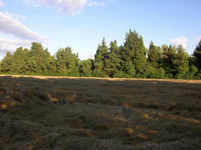 View in southern direction / Blick nach Süden