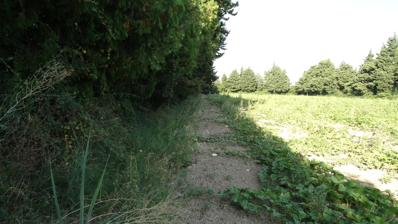 View to the CP 44N 5E at a distance of 50 m from WSW