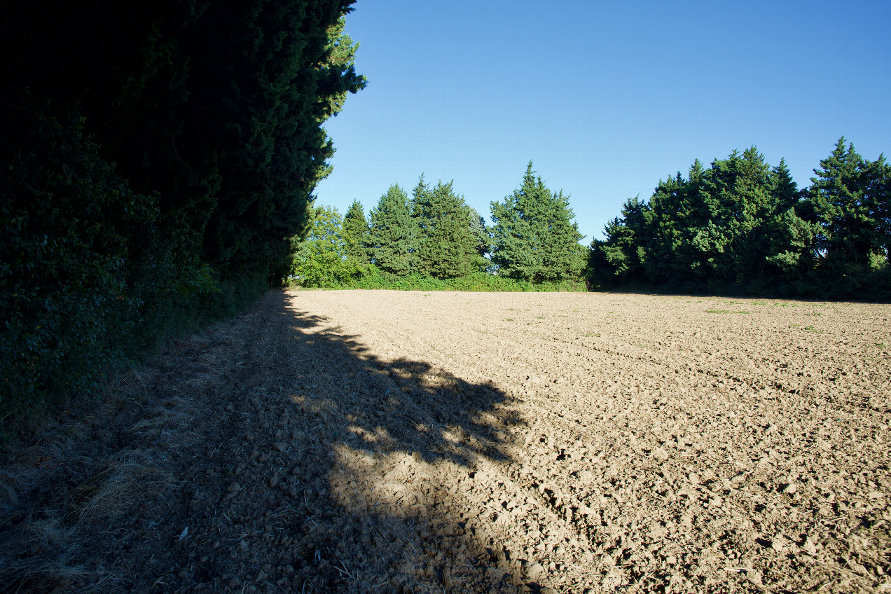 The confluence point lies on the edge of a (currently bare) farm field, next to a hedgerow.   (This is also a view to the East.)