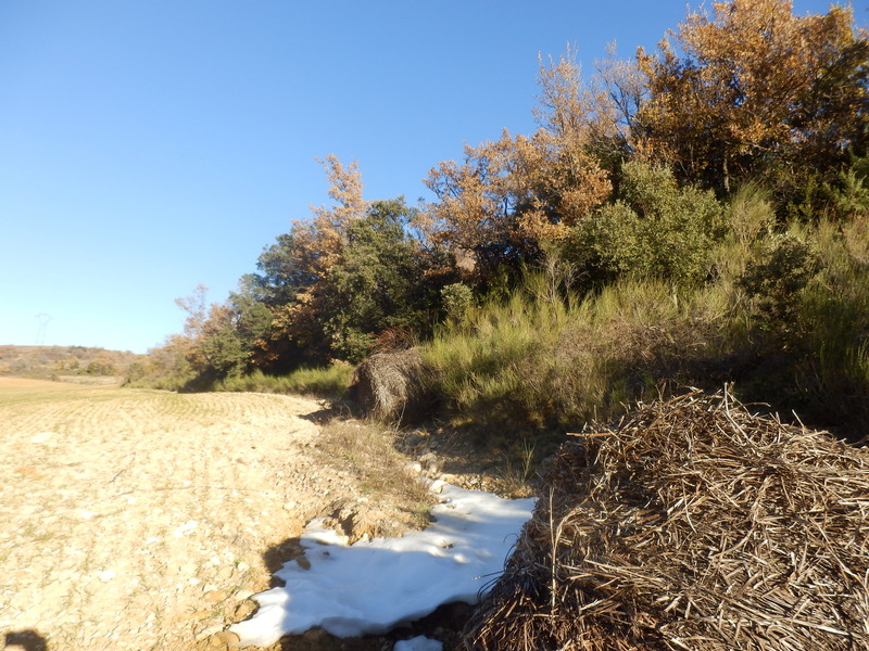 The Confluence from 30 m distance