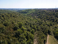 #10: View South, from 50m above the point