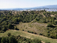 #11: View West, from 50m above the point